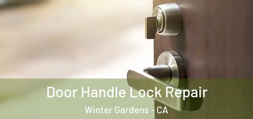 Door Handle Lock Repair Winter Gardens - CA