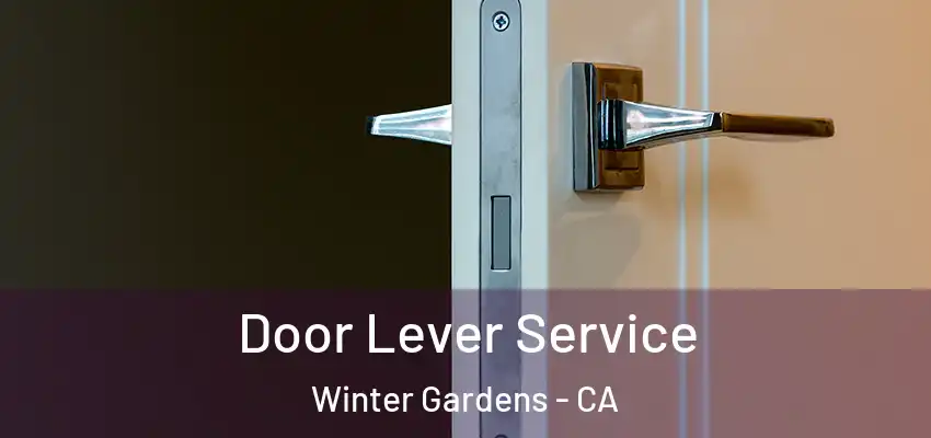 Door Lever Service Winter Gardens - CA